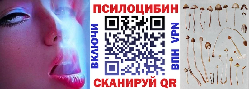 Галлюциногенные грибы Psilocybe  Шелехов 